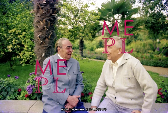 : Leonid Brezhnev with Edward Gierek : Leonid Brezhnev with Edward Gierek