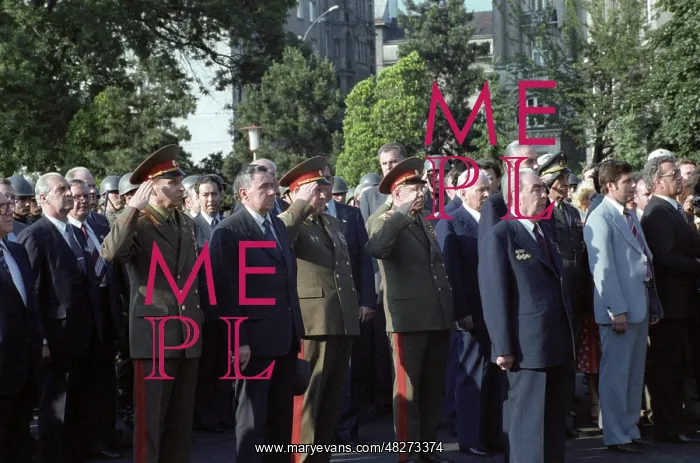 : Leonid Brezhnev lays wreath in front of monument : Leonid Brezhnev lays wreath in front of monument