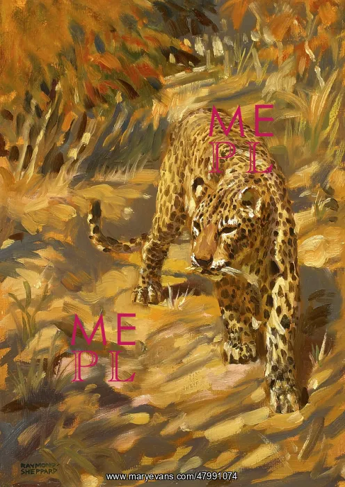  : A leopard in the wild blending into its surroundings