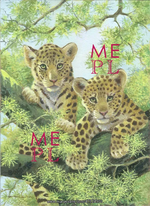  : Two Leopard Cubs in a tree