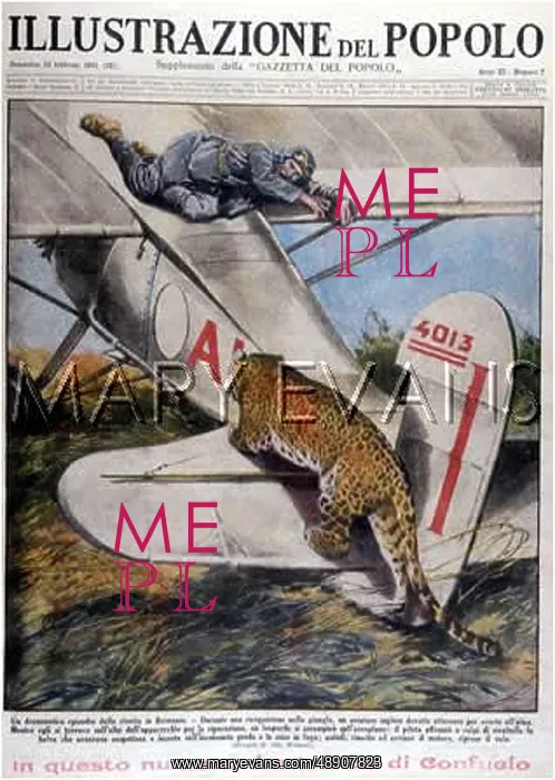 : LEOPARD AND PLANE : LEOPARD AND PLANE