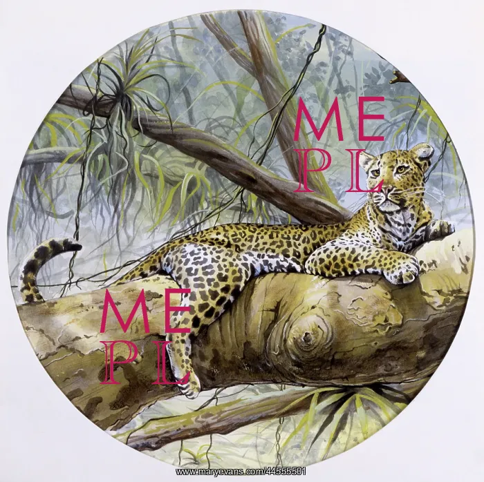 : A leopard resting on a rainforest branch : A leopard resting on a rainforest branch