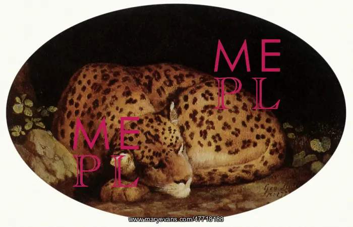  : Leopard Sleeping, by Stubbs
