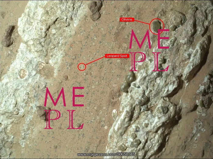 : Leopard Spots on Mars (Annotated) : Leopard Spots on Mars (Annotated)