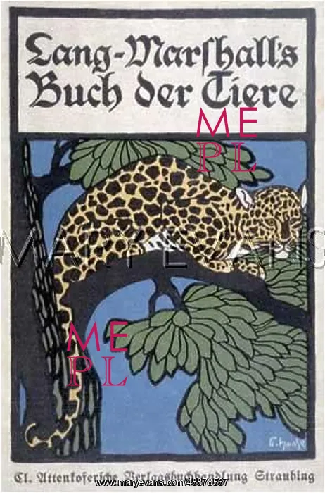 : LEOPARD UP A TREE / HAASE : LEOPARD UP A TREE / HAASE