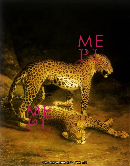 : Two Leopards