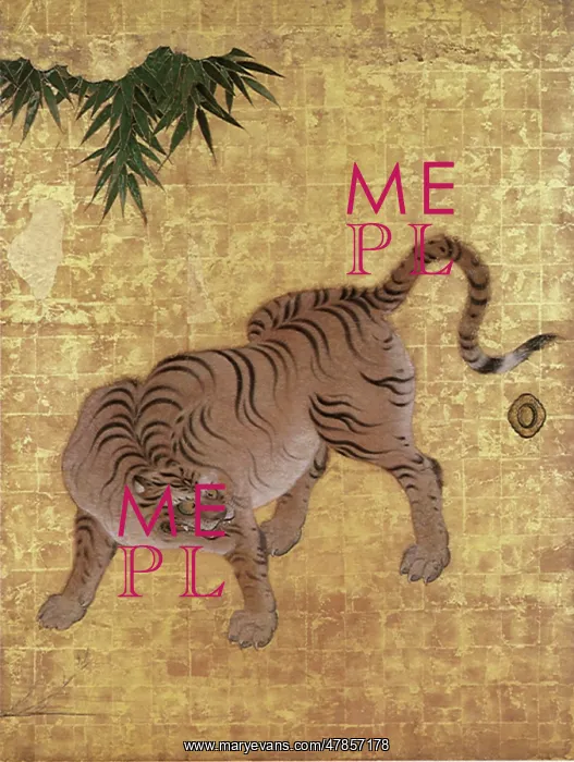 : Leopards : Leopards