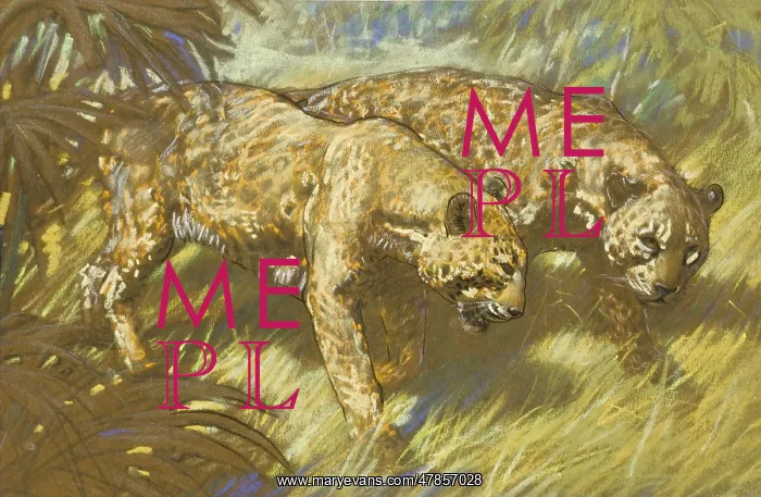 : Two Leopards in the African bush : Two Leopards in the African bush