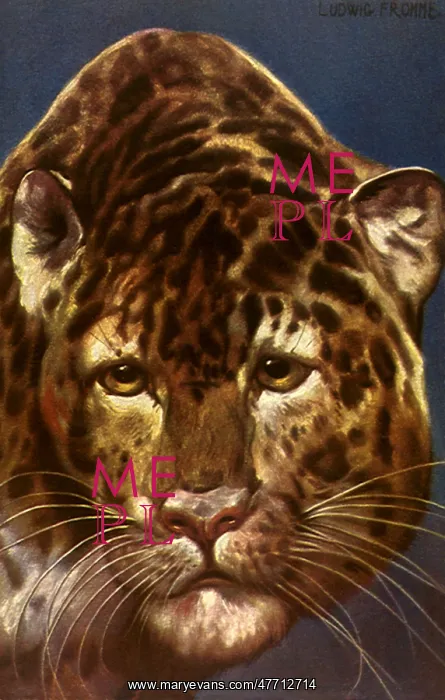  : Leopard's Head