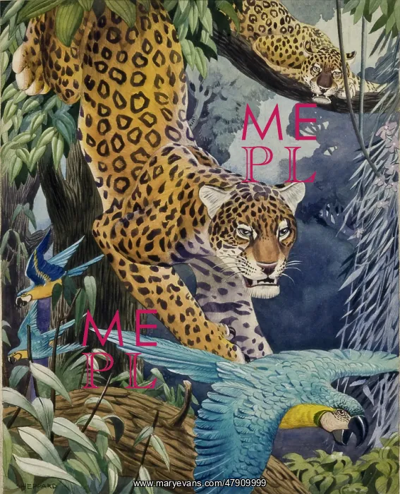 : Leopards and Macaws : Leopards and Macaws