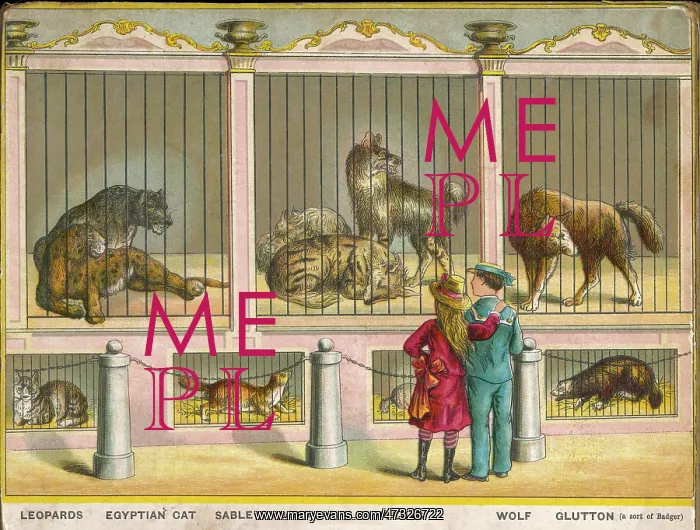 : LEOPARDS AND WOLFS ZOO : LEOPARDS AND WOLFS ZOO