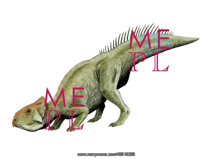 : Leptoceratops dinosaur : Leptoceratops dinosaur