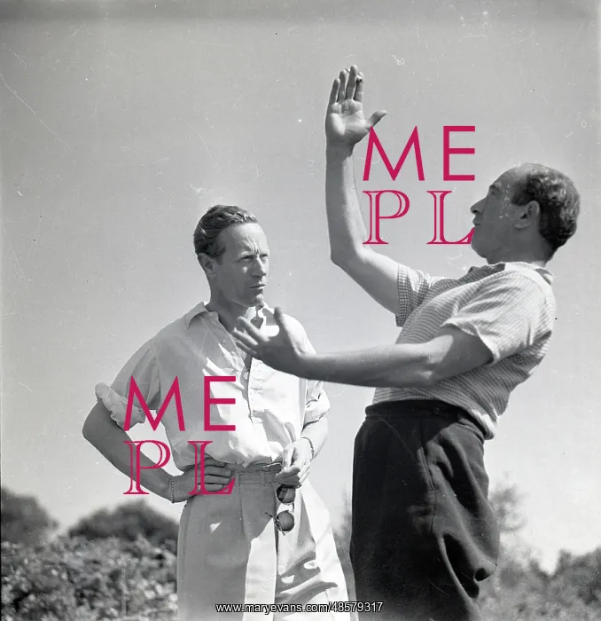 : Leslie Howard and Georges Perinal, The First of The Few : Leslie Howard and Georges Perinal, The First of The Few