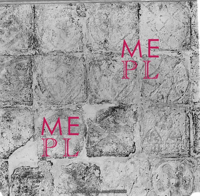 : Lesnes Abbey - Tiles : Lesnes Abbey - Tiles