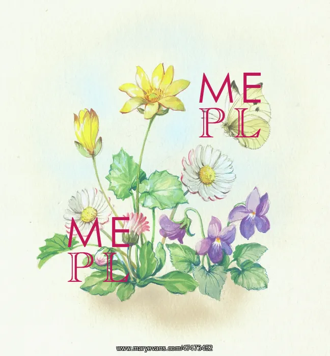  : Lesser celandine, daisies and violets, with butterfly