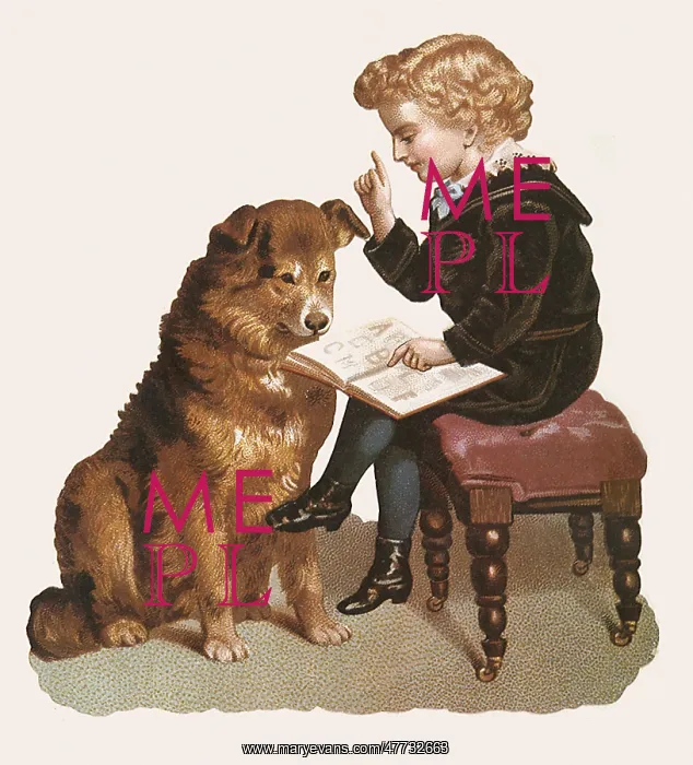 : Lesson with Dog : Lesson with Dog