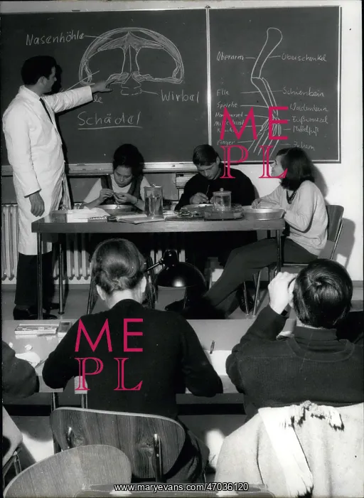 : Lesson at Senckenberg School, Frankfurt, Germany : Lesson at Senckenberg School, Frankfurt, Germany