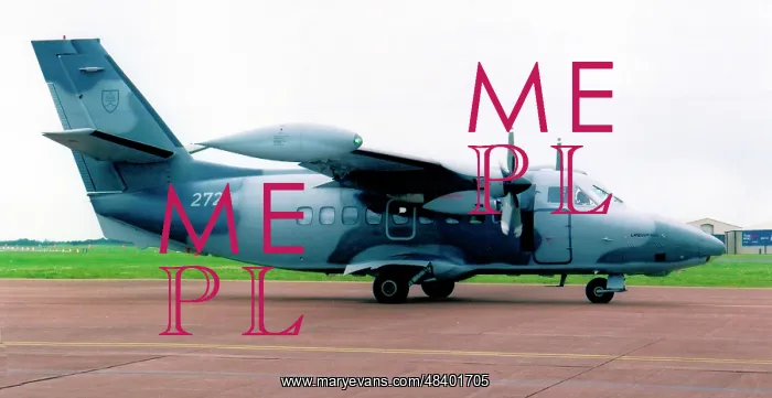 : Let L-410 Turbolet 2721 : Let L-410 Turbolet 2721