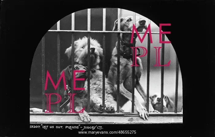 : Let Us Out, Please : Let Us Out, Please