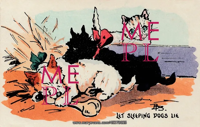 : Let Sleeping Dogs Lie : Let Sleeping Dogs Lie