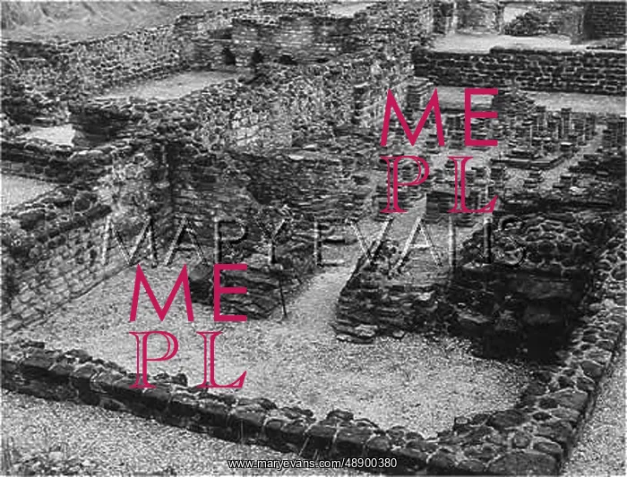 : THE LETOCETUM BATHS : THE LETOCETUM BATHS