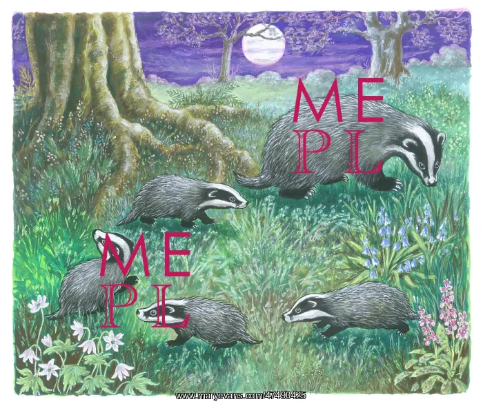  : Let's Meet Some Baby Animals