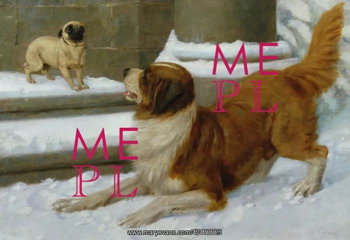 : Let's Play ' dogs in winter snow : Let's Play ' dogs in winter snow