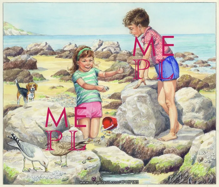 : Let's Visit the Seaside : Let's Visit the Seaside