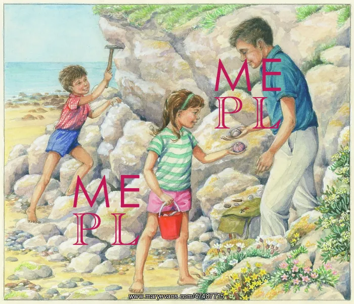 : Let's Visit the Seaside : Let's Visit the Seaside