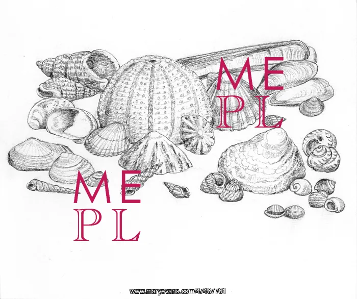 : Let's Visit the Seaside : Let's Visit the Seaside