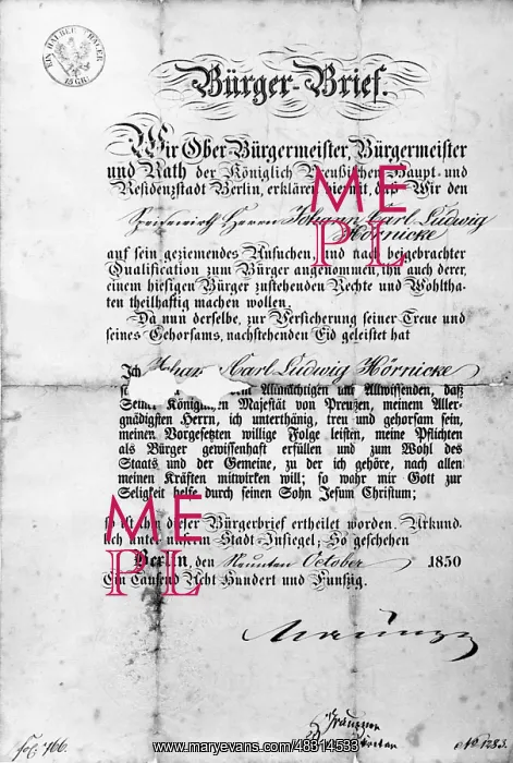 : Letter of citizenship, 1850 : Letter of citizenship, 1850