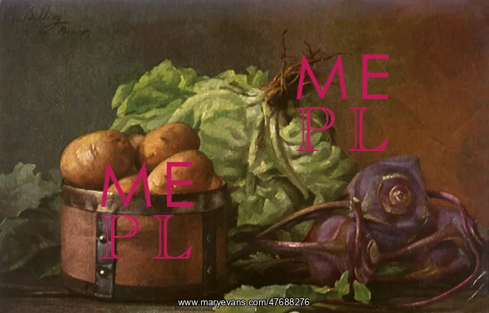 : Lettuce and Tubers : Lettuce and Tubers