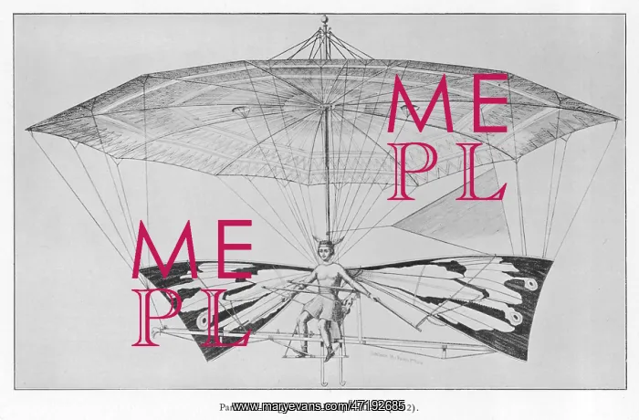 : Leturr's Birdman Project : Leturr's Birdman Project