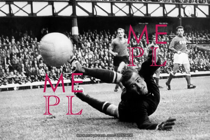 : Lev Yashin, 1970 : Lev Yashin, 1970