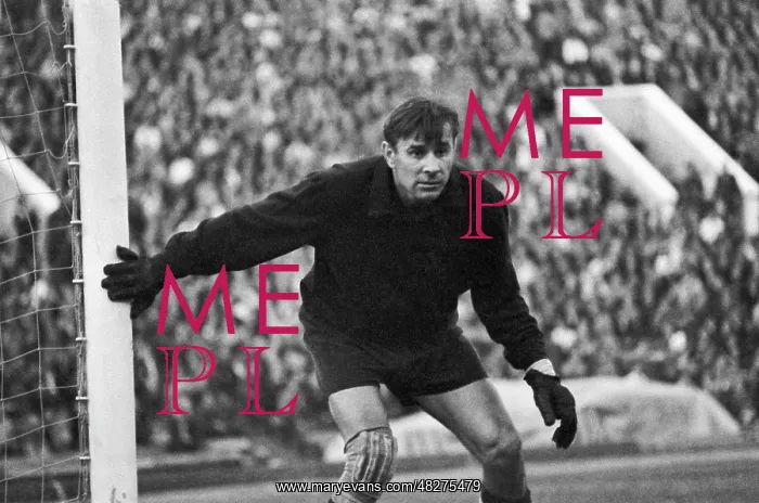 : Lev Yashin, 1971 : Lev Yashin, 1971