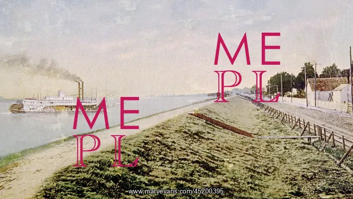 : The levee at Chalmette, New Orleans ? : The levee at Chalmette, New Orleans ?