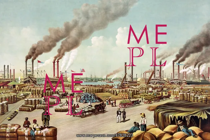 : The Levee, New Orleans, 1884 : The Levee, New Orleans, 1884