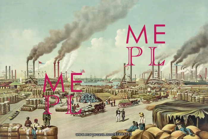 : The levee, New Orleans : The levee, New Orleans