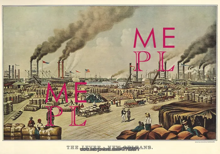  : The Levee - New Orleans