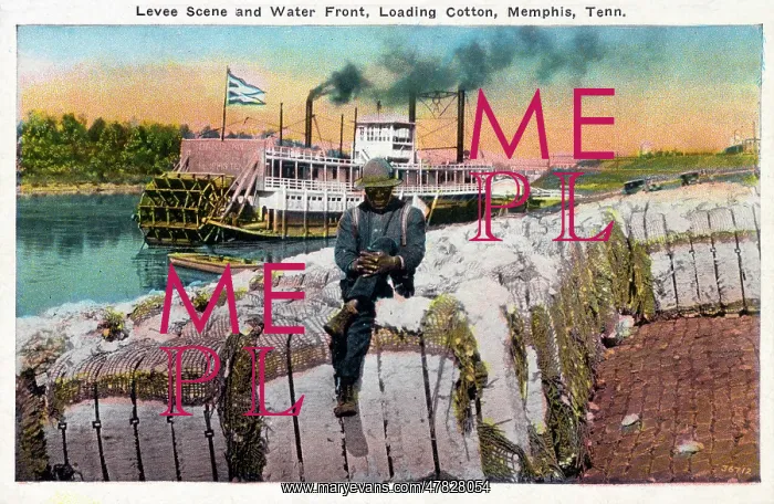 : Levee Scene and Water Front, loading Cotton, Memphis : Levee Scene and Water Front, loading Cotton, Memphis