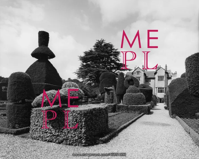 : LEVENS HALL TOPIARY : LEVENS HALL TOPIARY