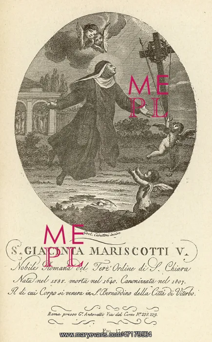 : LEVITATION / MARISCOTTI : LEVITATION / MARISCOTTI