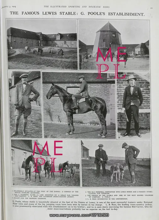 : Lewes Stable and Owner G. Poole : Lewes Stable and Owner G. Poole