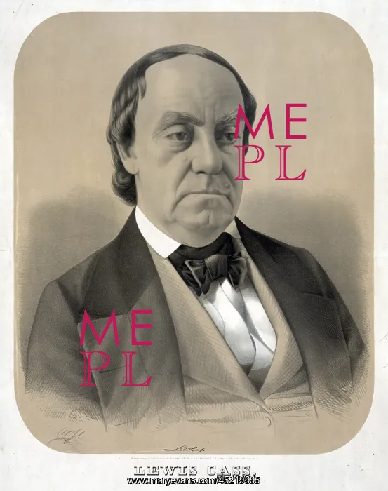 : Lewis Cass, Democratic presidential candidate ? : Lewis Cass, Democratic presidential candidate ?