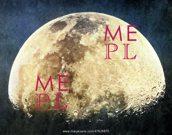: Lewis Rutherfurd, Moon, 1873 : Lewis Rutherfurd, Moon, 1873