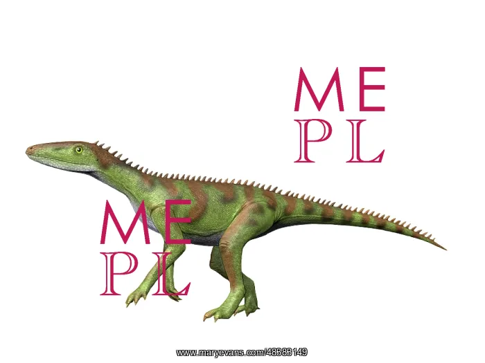 : Lewisuchus is an extinct dinosauriformes from the Middle ? : Lewisuchus is an extinct dinosauriformes from the Middle ?
