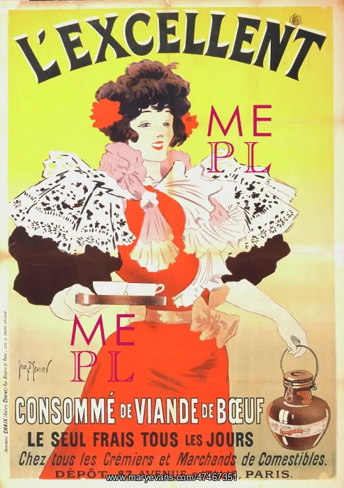: L'excellent, consomme de viande de boeuf : L'excellent, consomme de viande de boeuf