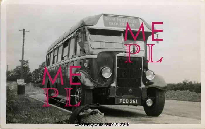 : Leyland Vintage Bus - Tom Morris : Leyland Vintage Bus - Tom Morris