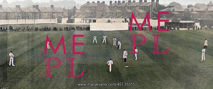: Leyton Cricket Ground : Leyton Cricket Ground