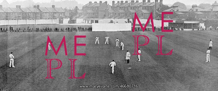 : Leyton Cricket Ground : Leyton Cricket Ground